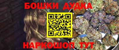 дмт Кингисепп