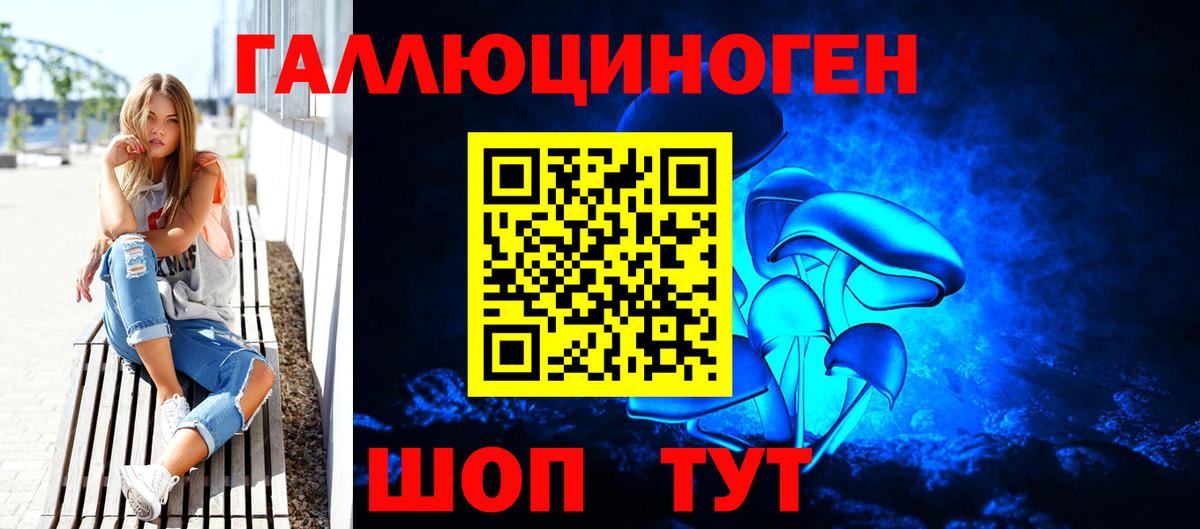 Псилоцибиновые грибы Psilocybine cubensis Моршанск